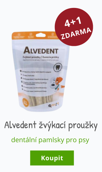 Alvedent pro psy