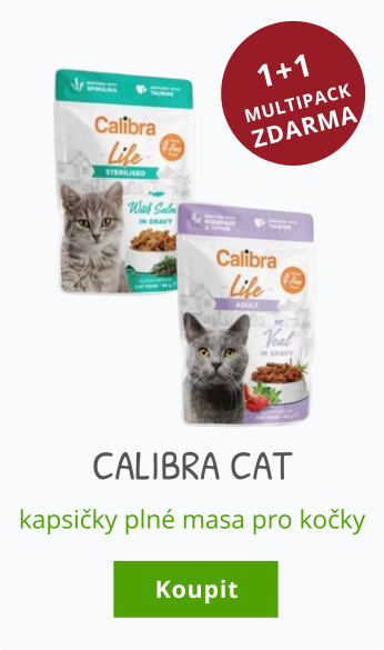 Calibra cat multipack