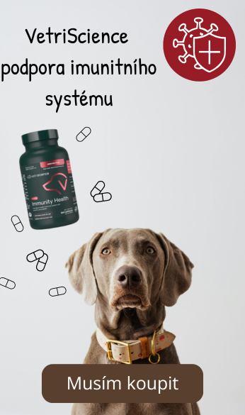 VetriScience dog imuni