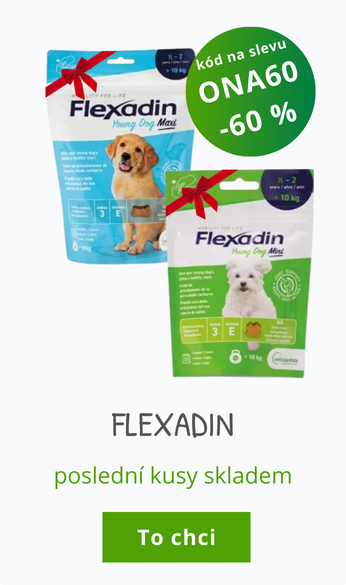 Flexadin poslední kusy skladem