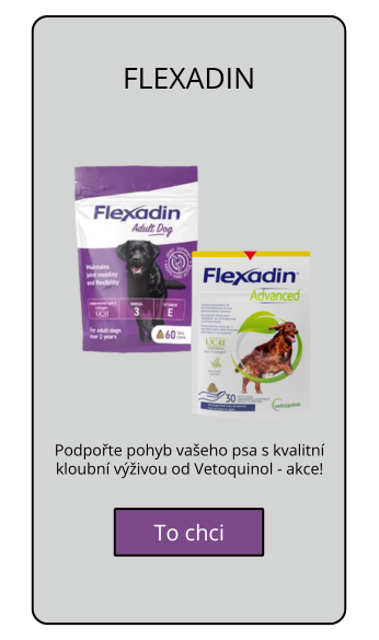 Flexadin dog