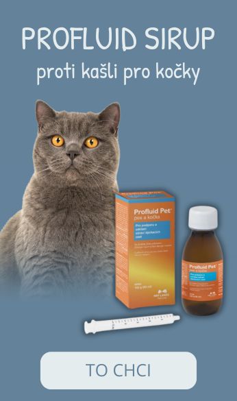 Profluid sirup proti kašli